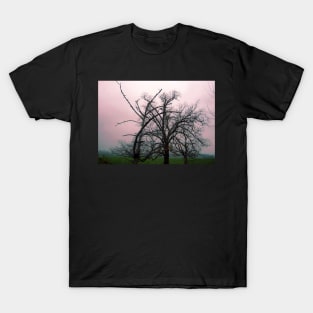 Trees in mist at dawn, Gippsland T-Shirt